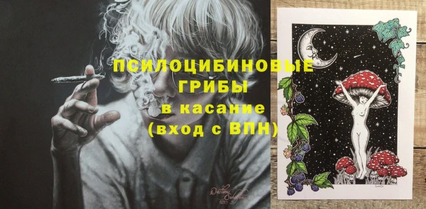 бошки Карпинск