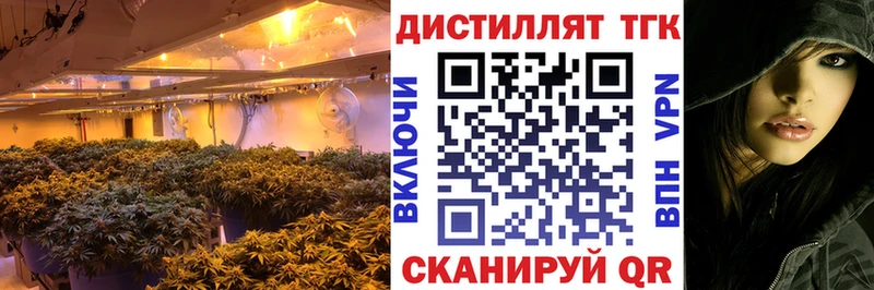Дистиллят ТГК THC oil  Купить  Сольцы 