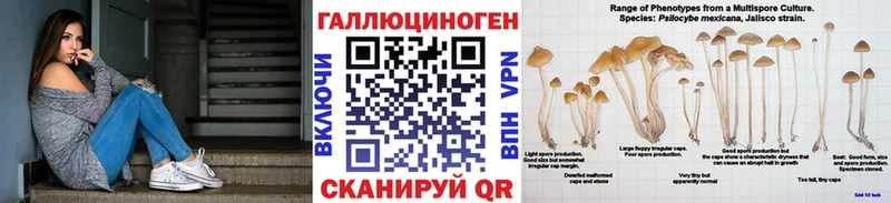 Купить закладки  Сольцы  Псилоцибиновые грибы Psilocybine cubensis 